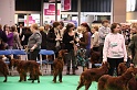 Crufts2011 342